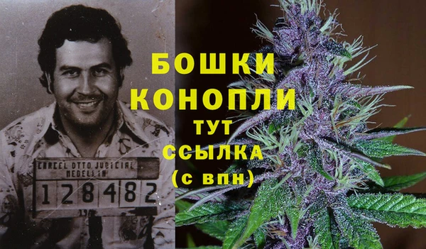 2c-b Верхний Тагил