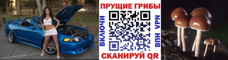 Псилоцибиновые грибы ЛСД  Карабулак 